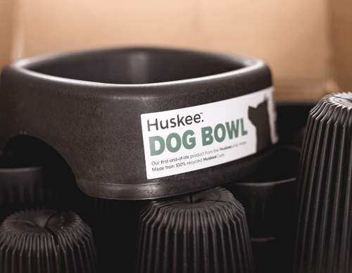 From Cup to Canine Companion: The Journey of your HuskeeCup through HuskeeLoop